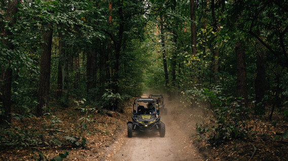 Прогулянка на багі для двох Подарунки полковнику в Харкові - Прогулянка на багі для двох