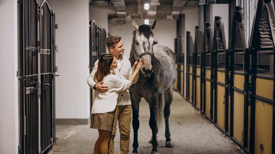 Екскурсія на стайню для двох Екскурсії та тури - Екскурсія на стайню для двох