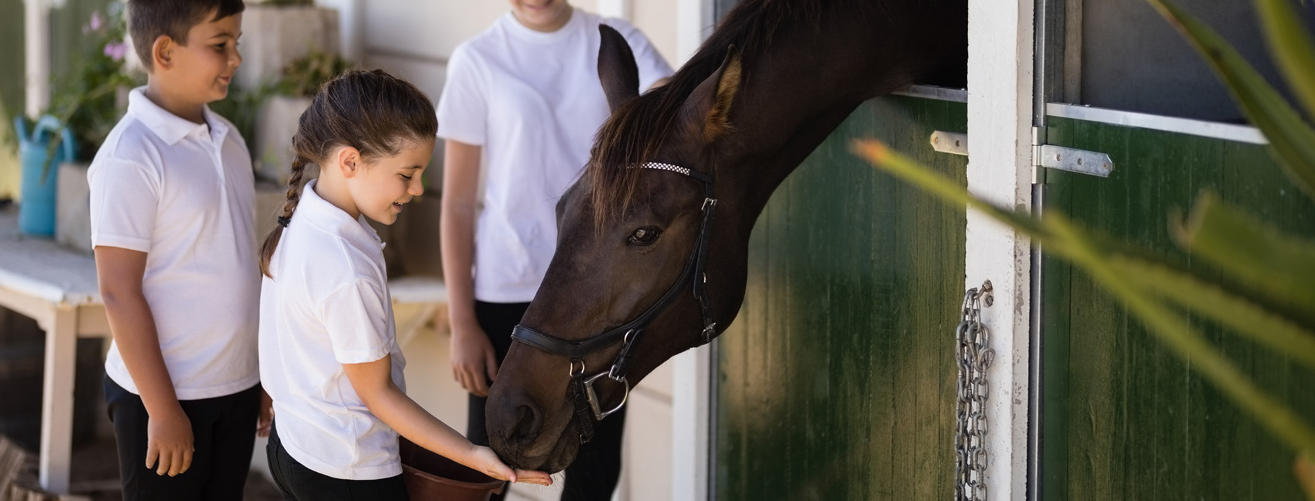 Фото 1 - Экскурсия на конюшню для двоих