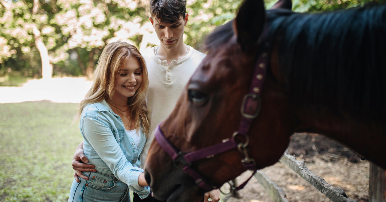 Экскурсия на конюшню для компании - 12 Фото 12 - Экскурсия на конюшню для компании