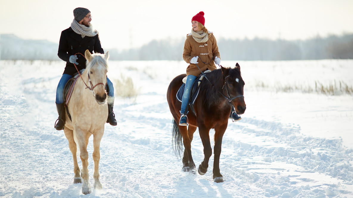 Кінна екскурсія по Київській Русі для двох Подарунки вчителю на випускний - Кінна екскурсія по Київській Русі для двох