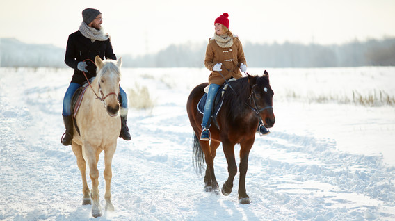Кінна екскурсія по Київській Русі для двох Подарунки начальнику на 60 років - Кінна екскурсія по Київській Русі для двох
