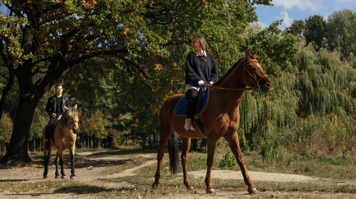 Прогулянка на конях для компанії Як навчитися кататись на конях - Прогулянка на конях для компанії