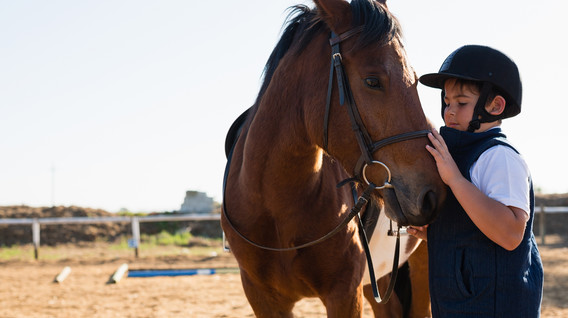 Курс верхової їзди Подарунки хлопчику на Новий рік - Курс верхової їзди