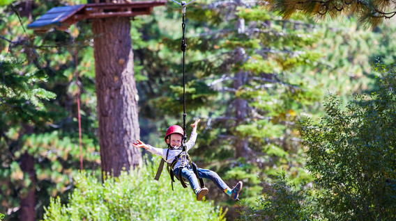 Тролейний парк для компанії Тролеї та зіплайн - Тролейний парк для компанії