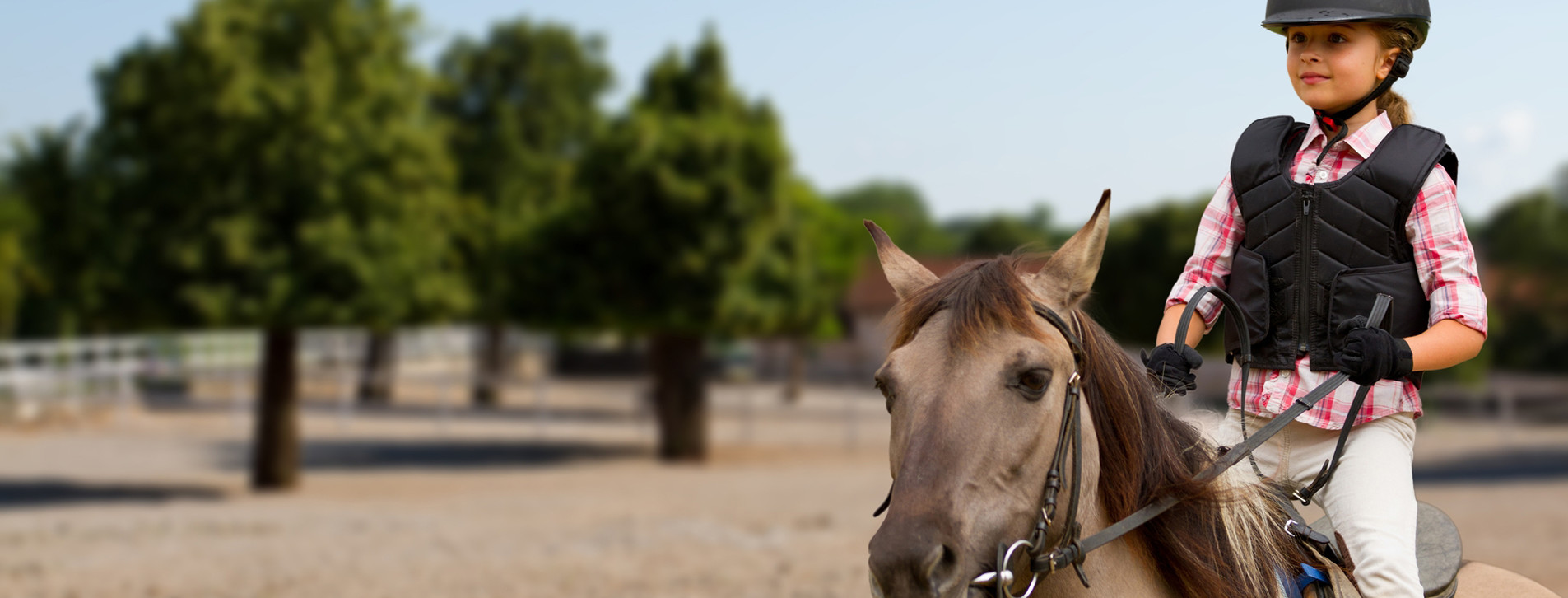 Фото 1 - Курс верховой езды