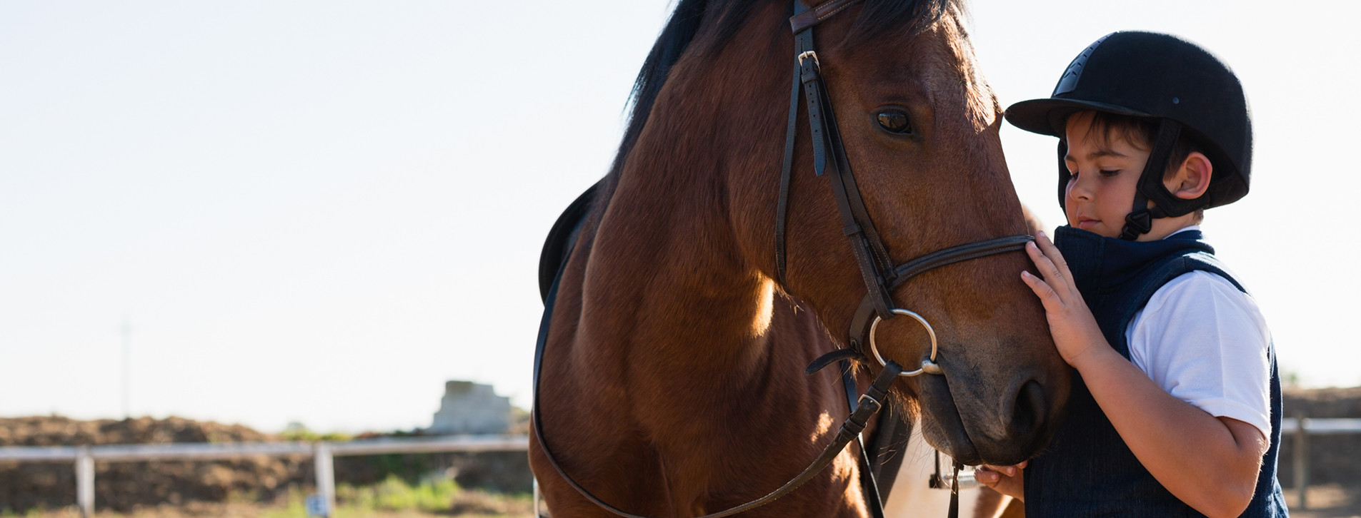 Фото 1 - Курс верхової їзди