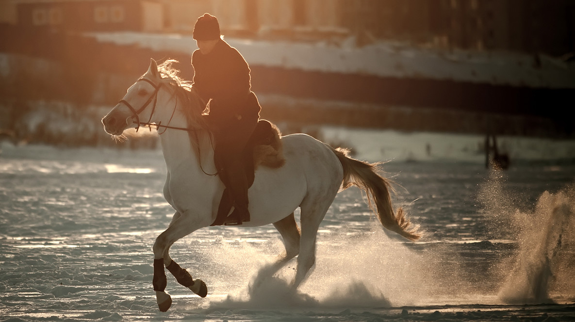 Курс верхової їзди Подарунки хлопцю на 22 роки в Одесі - Курс верхової їзди
