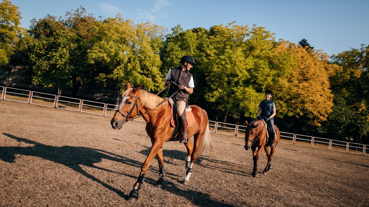 Курс верхової їзди Подарунки на 6 Грудня у Львові - Курс верхової їзди