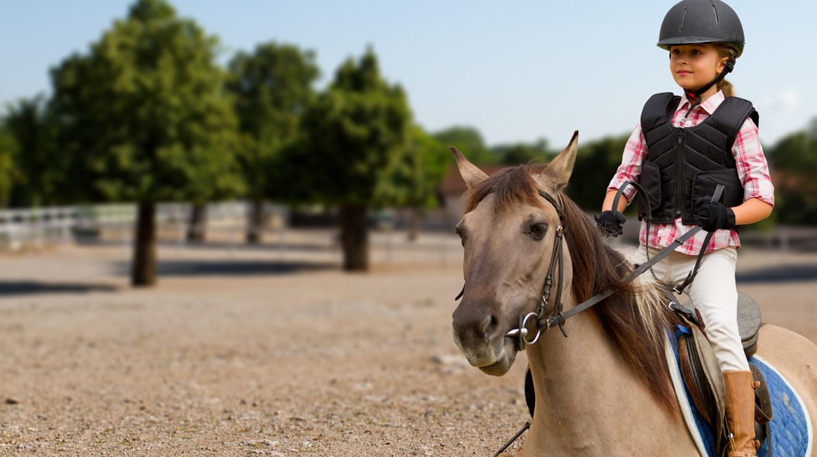 Курс верхової їзди Активний відпочинок для дітей у Львові - Курс верхової їзди