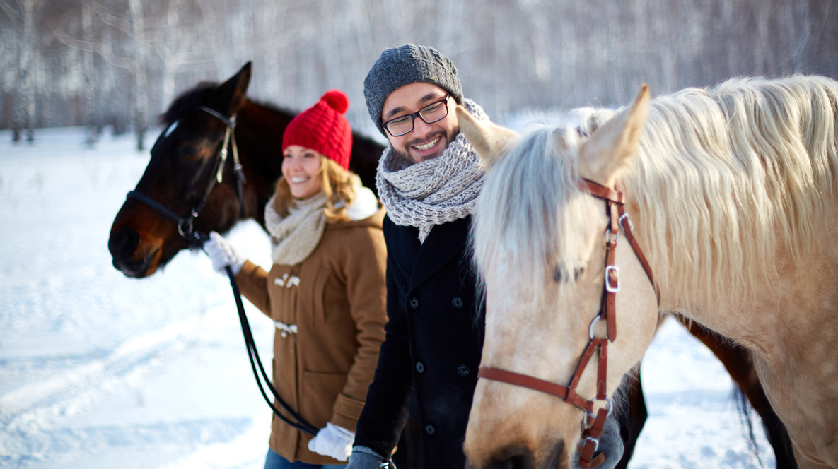 Прогулянка на коні Активний відпочинок для дітей у Львові - Прогулянка на коні