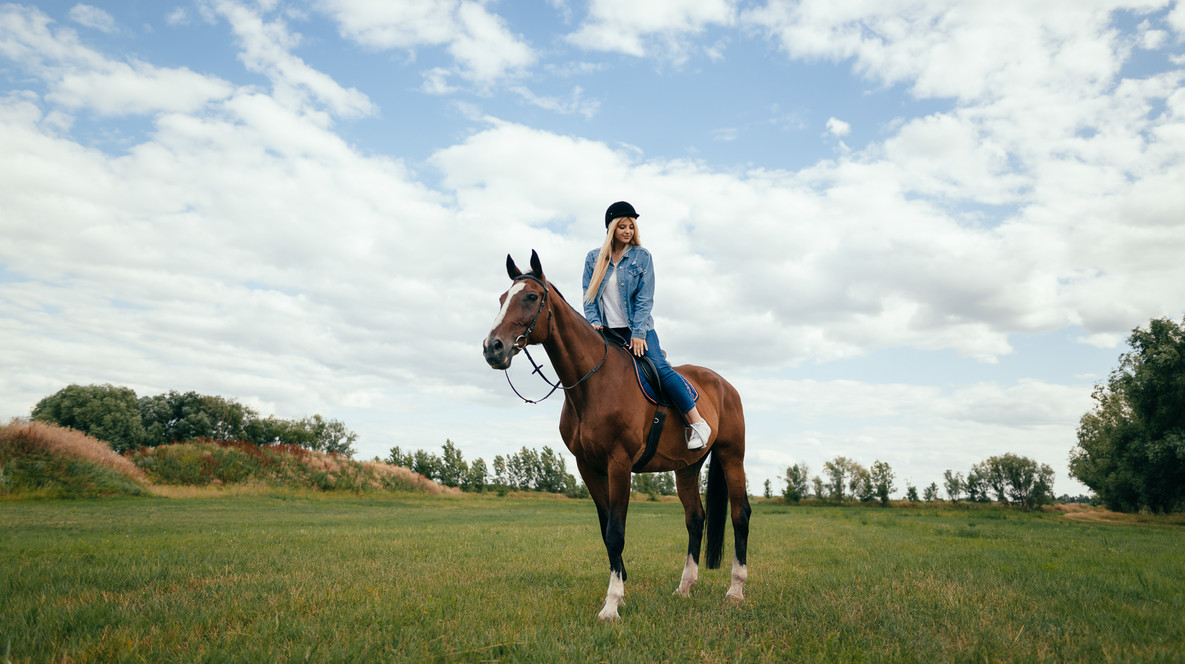 Прогулянка на коні Подарункові сертифікати для хлопчика в Харкові - Прогулянка на коні