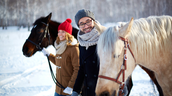 Прогулянка на коні Подарунки дівчинці на 14 років у Харкові - Прогулянка на коні