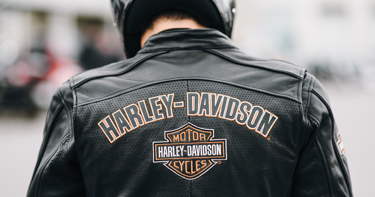 Урок на Harley-Davidson - 12 Фото 12 - Урок на Harley-Davidson