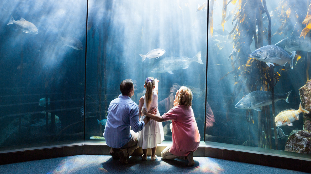 Океанаріум для двох Подарунки водолію в Харкові - Океанаріум для двох