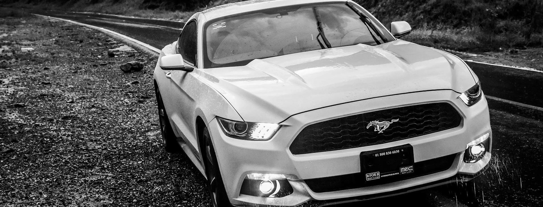 Фото 1 - Аренда Ford Mustang