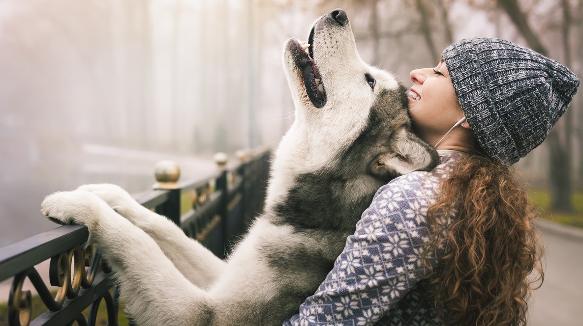 Екскурсія до Дому Хаскі для двох Подарунки жінці на Новий Рік - Екскурсія до Дому Хаскі для двох