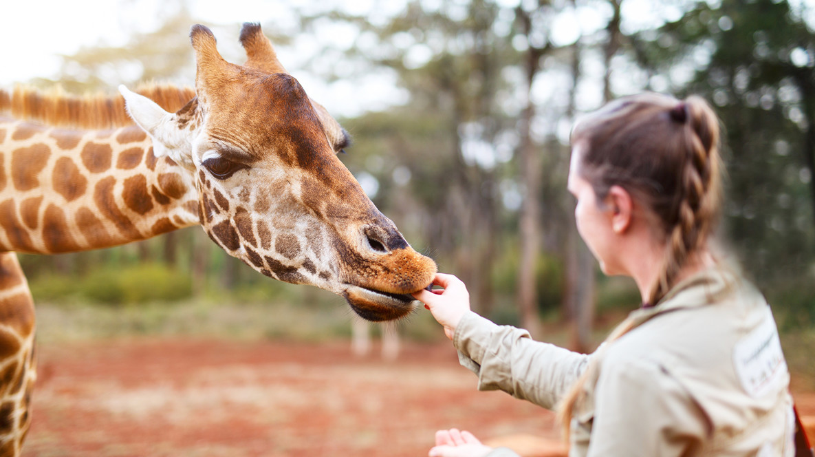 «БіоПарк» для двох Цікаві заклади в Одесі - «БіоПарк» для двох