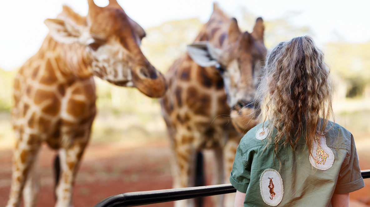 Сафарі у «БіоПарку» Подарунки дівчинці на 12 років в Одесі - Сафарі у «БіоПарку»