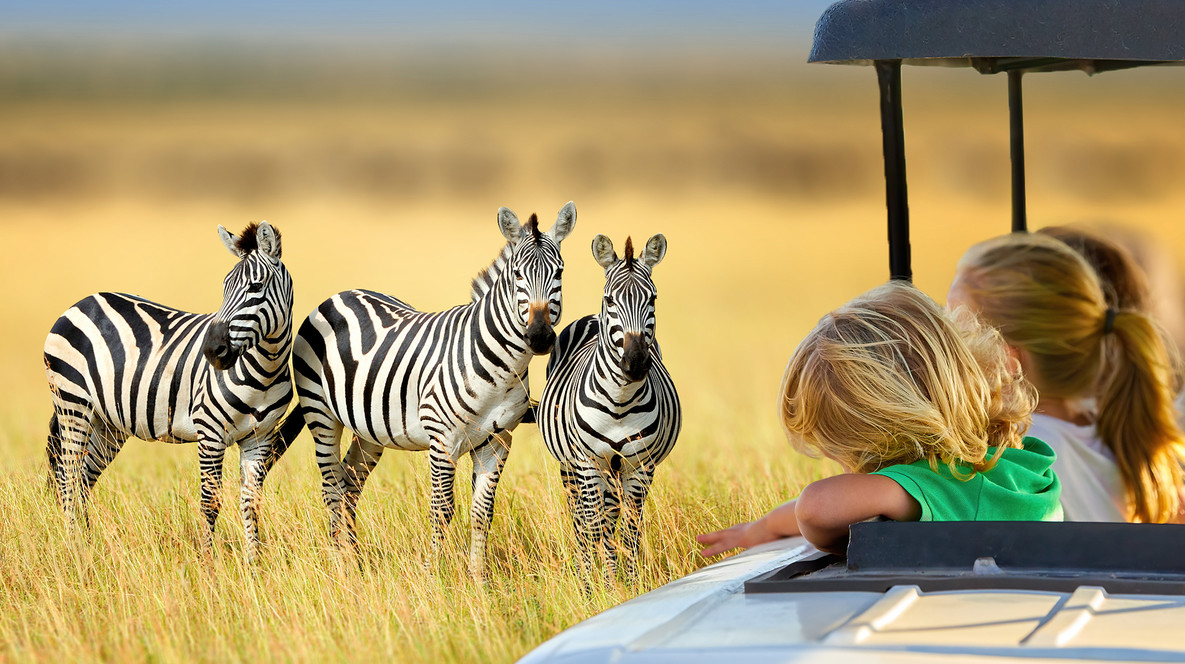 Сафарі у «БіоПарку» для компанії Подарунки для дітей в Одесі - Сафарі у «БіоПарку» для компанії