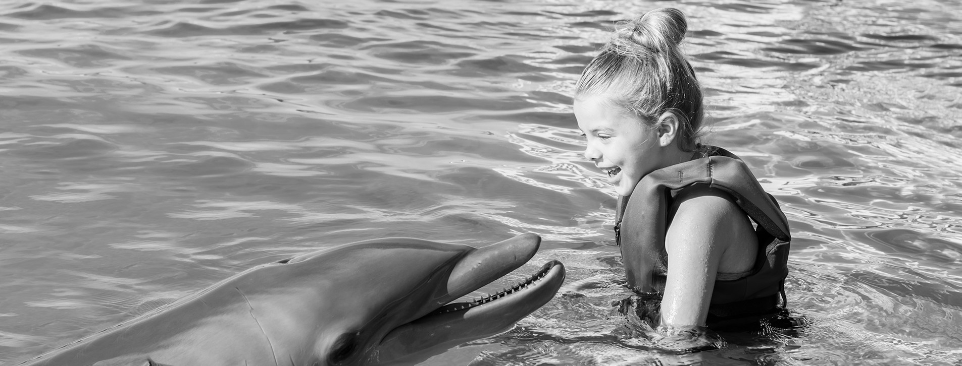 Фото 1 - Знакомство с дельфинами