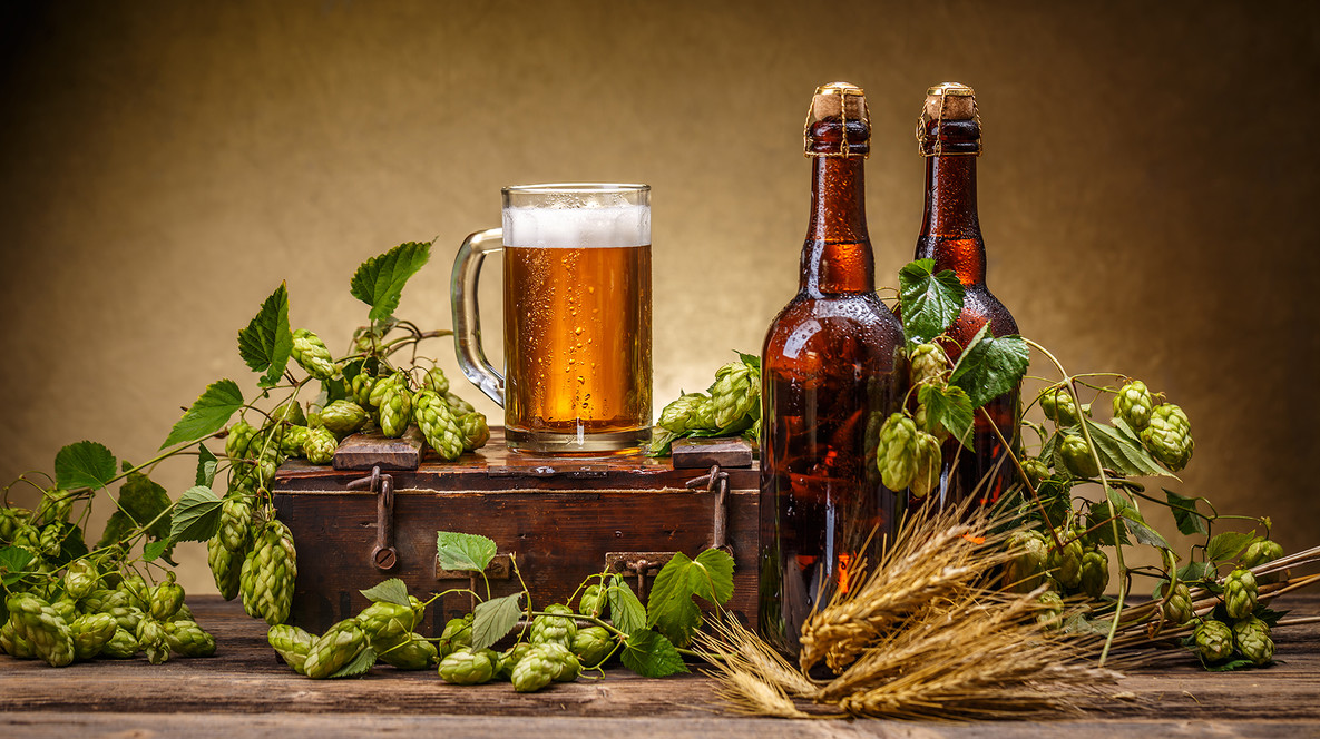 Экскурсия в музей пива для компании Экскурсии и туры во Львове - Экскурсия в музей пива для компании