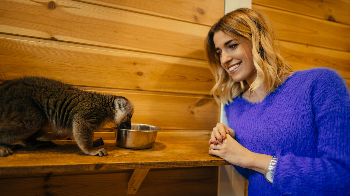 Контактний зоопарк для компанії Подарунки на рік Тигра в Дніпрі - Контактний зоопарк для компанії