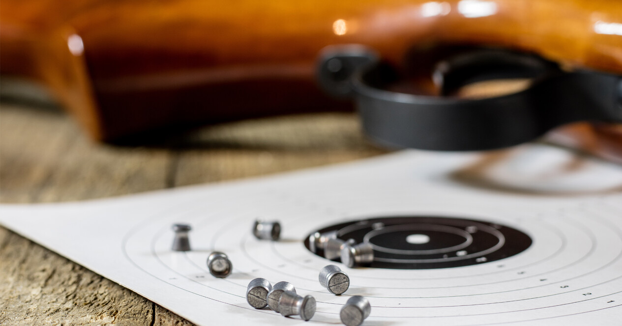 Пневматичний тир для компанії - 12 Фото 12 - Пневматичний тир для компанії