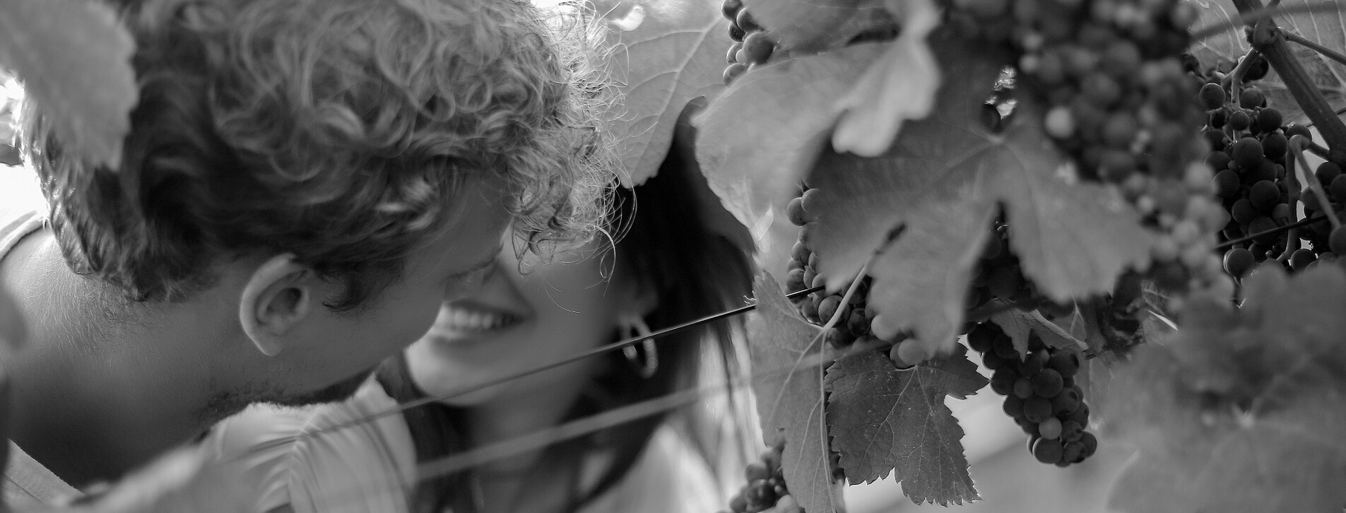 Фото 1 - Екскурсія з дегустацією в «Центр культури вина SHABO»