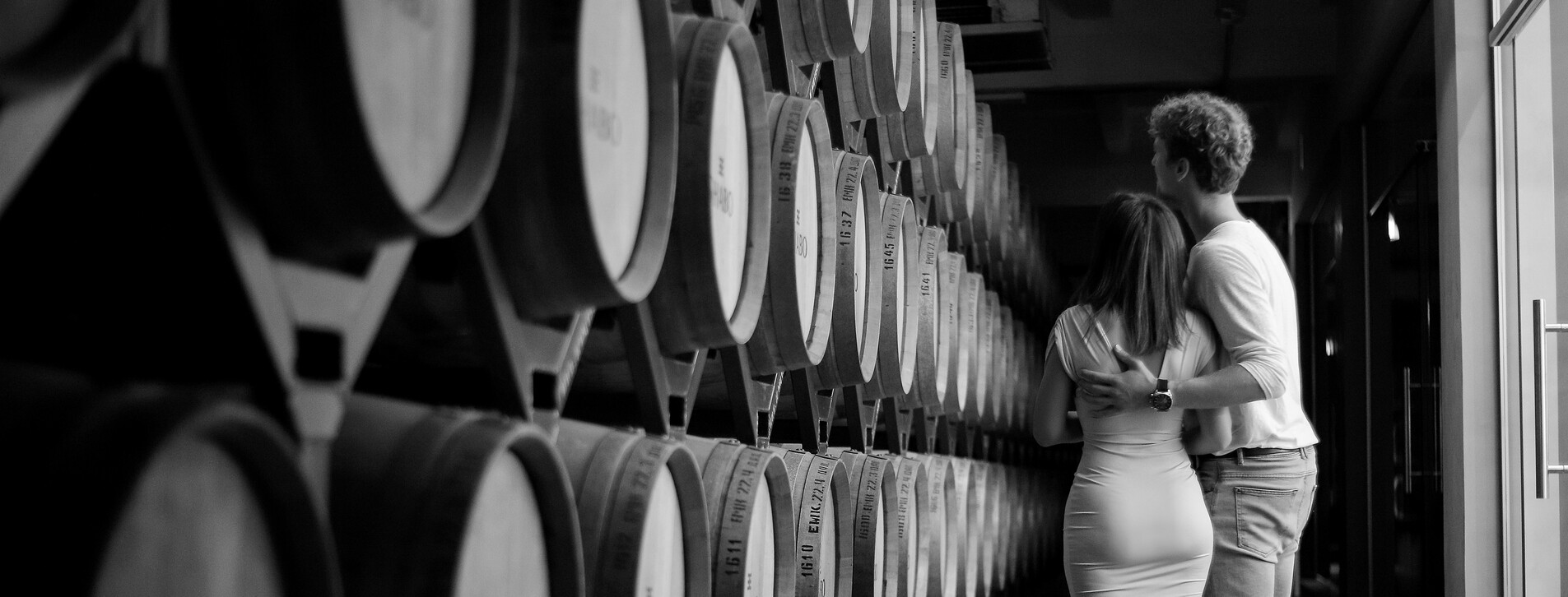 Фото 1 - Екскурсія з дегустацією в «Центр культури вина SHABO»