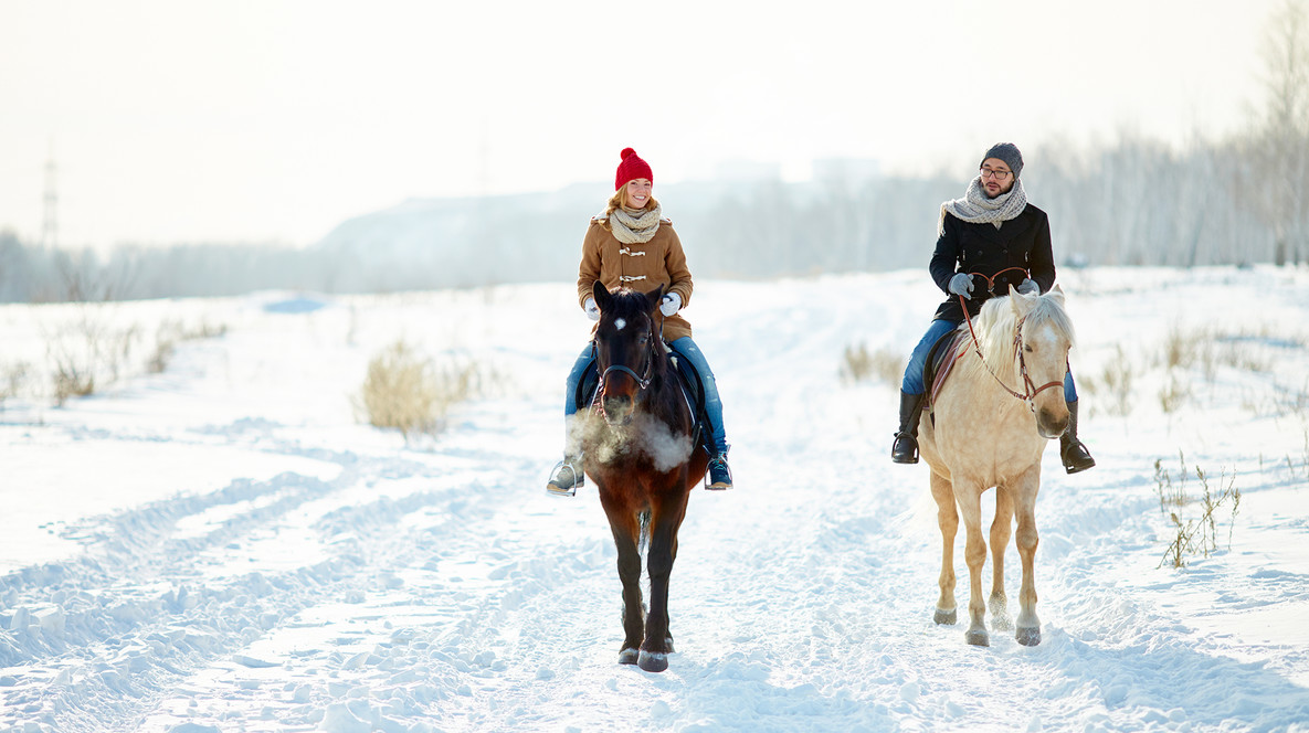Прогулянка на конях для компанії Подарунки дівчині на 2 роки відносин у Харкові - Прогулянка на конях для компанії