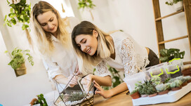 Майстер-клас створення флораріума для двох Майстер-клас створення флораріума для двох