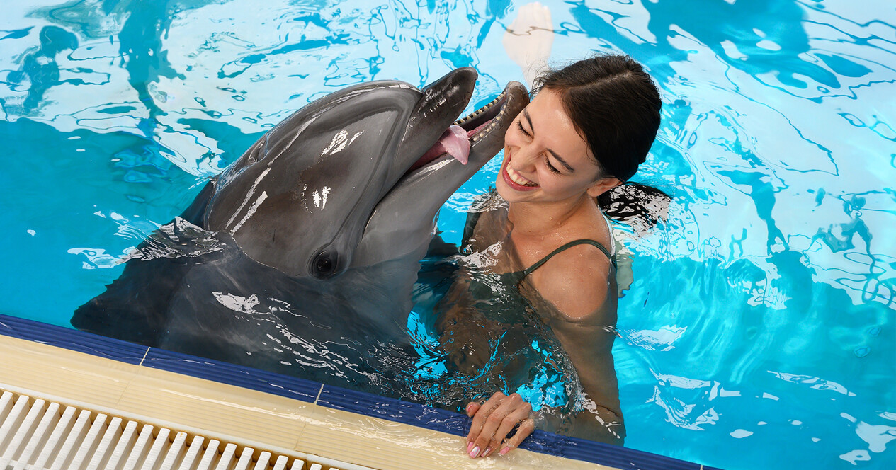 Плавання з дельфінами - 12 Фото 12 - Плавання з дельфінами