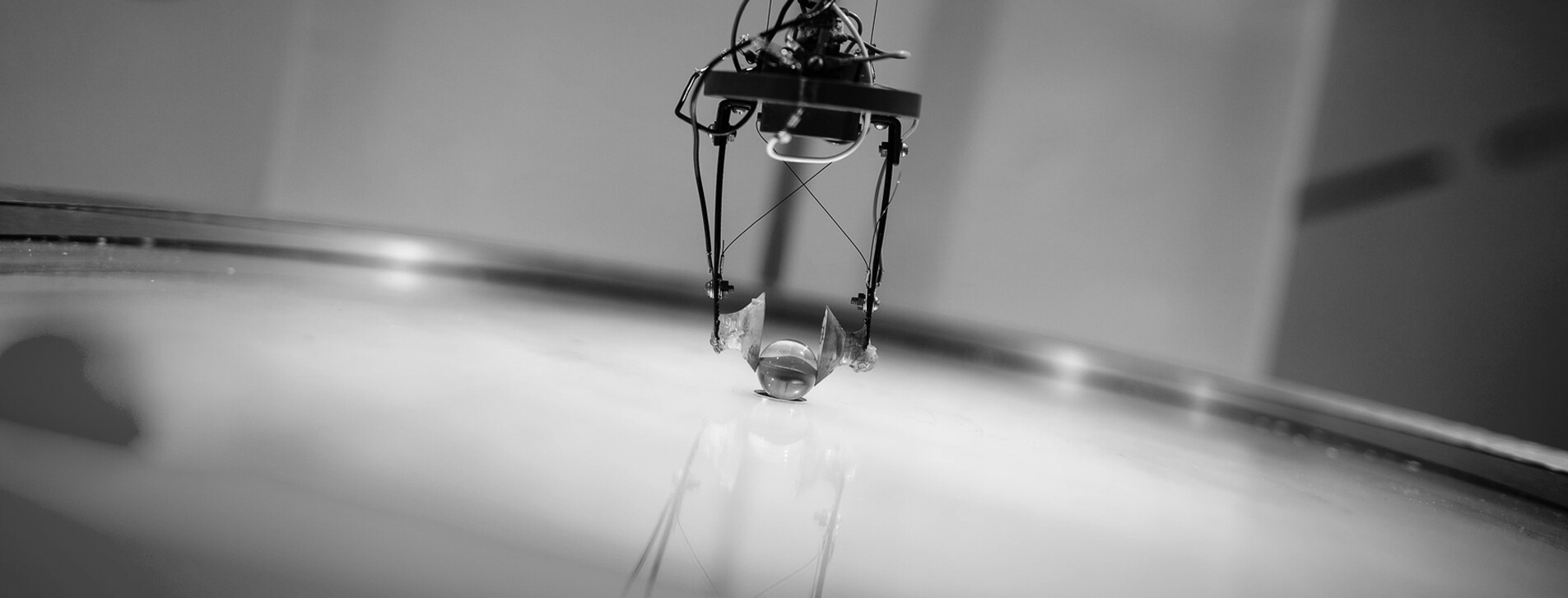 Фото 1 - Музей науки для компании