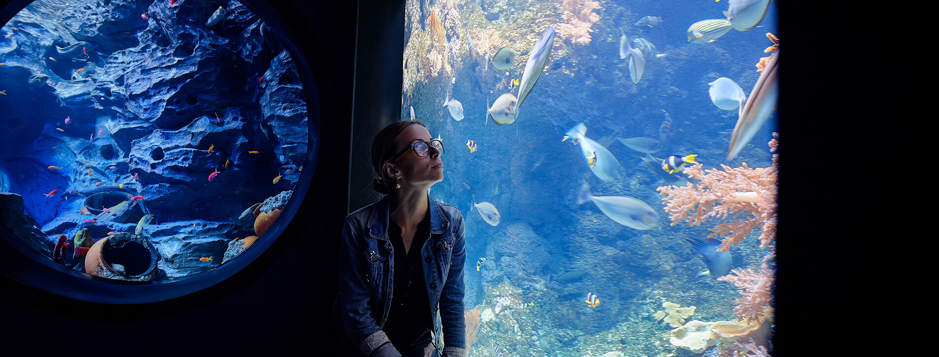 Фото 1 - Океанаріум