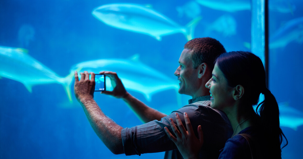 Океанаріум для двох - 12 Фото 12 - Океанаріум для двох