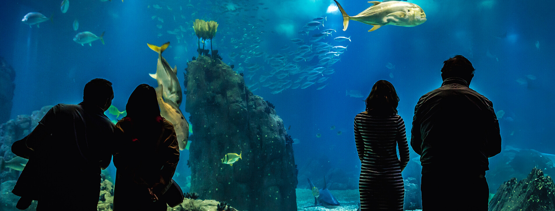 Фото 1 - Океанаріум для компанії