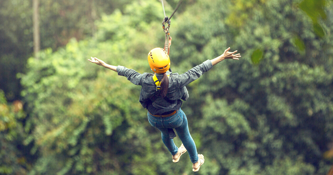 Тролейний парк для компанії - 12 Фото 12 - Тролейний парк для компанії