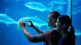 Океанаріум для двох Океанаріум для двох