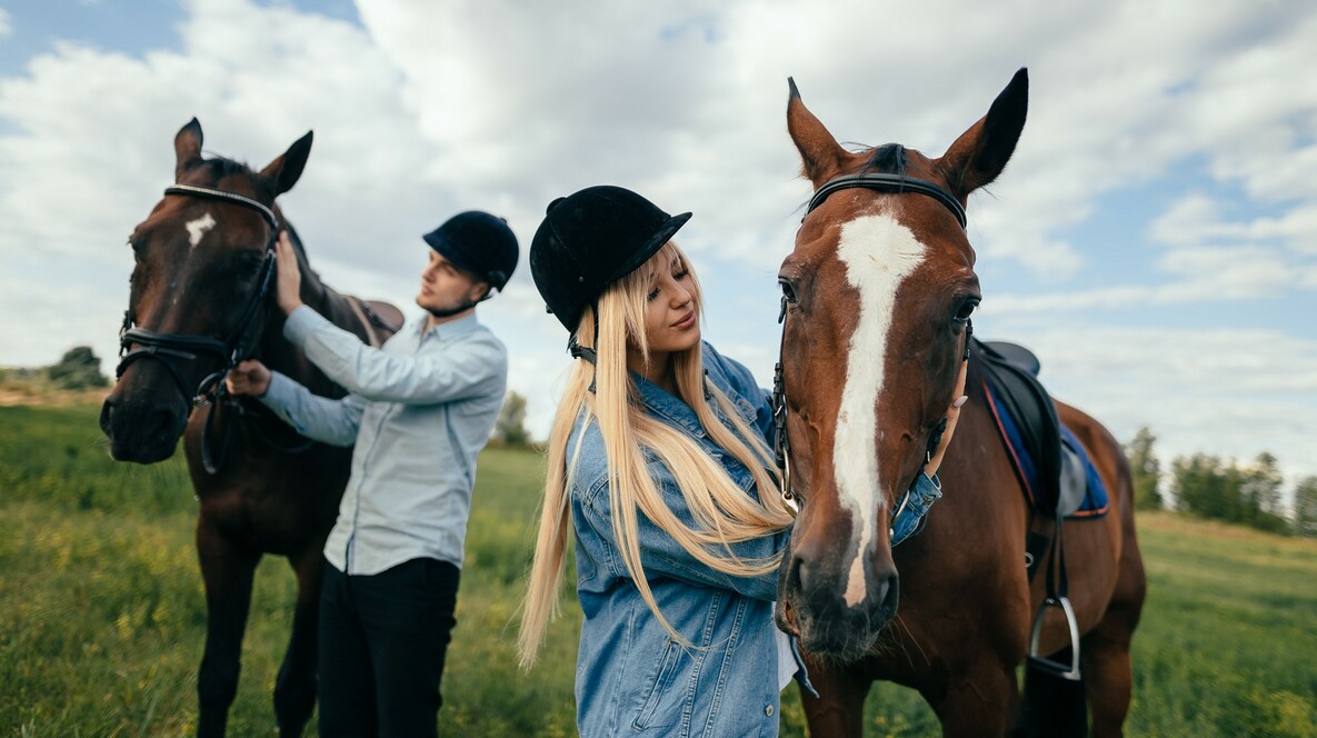 Прогулянка на конях для компанії Сюрприз на день народження татові в Івано-Франківську - Прогулянка на конях для компанії