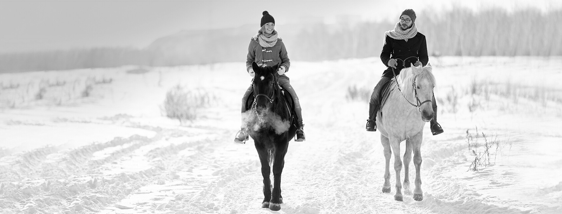 Фото 1 - Прогулянка на конях для компанії