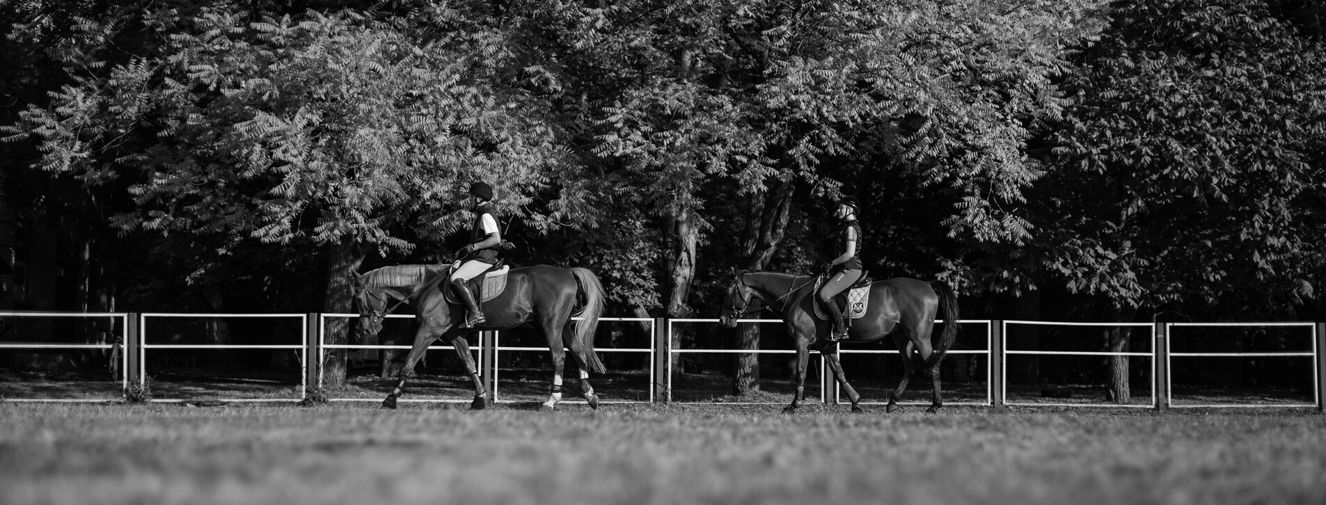 Фото 1 - Урок верхової їзди