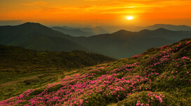 Екскурсія Карпатами зі Львова Екскурсія Карпатами зі Львова