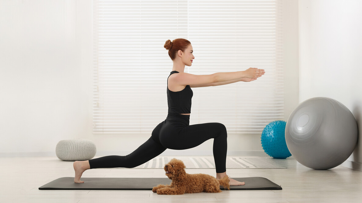 Йога с щенками для компании Подарки на Новый год крестной в Одессе - Йога с щенками для компании