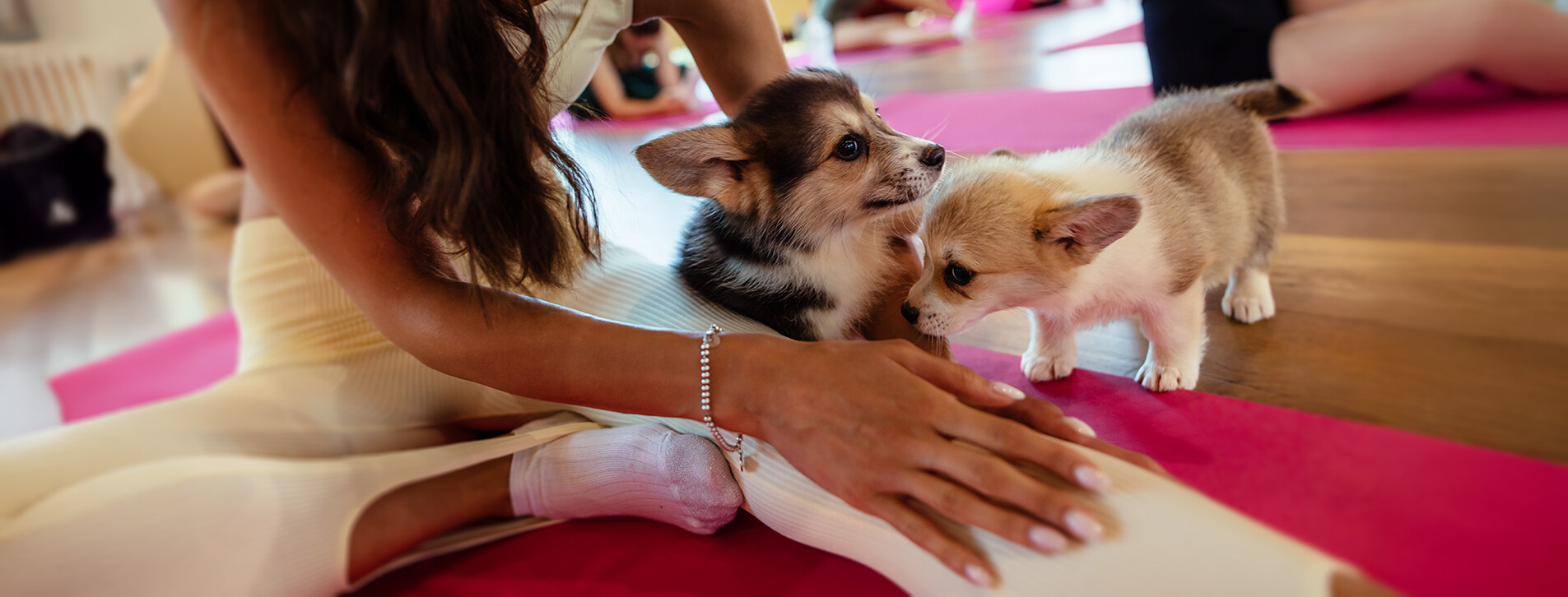 Фото 1 - Йога с щенками для компании