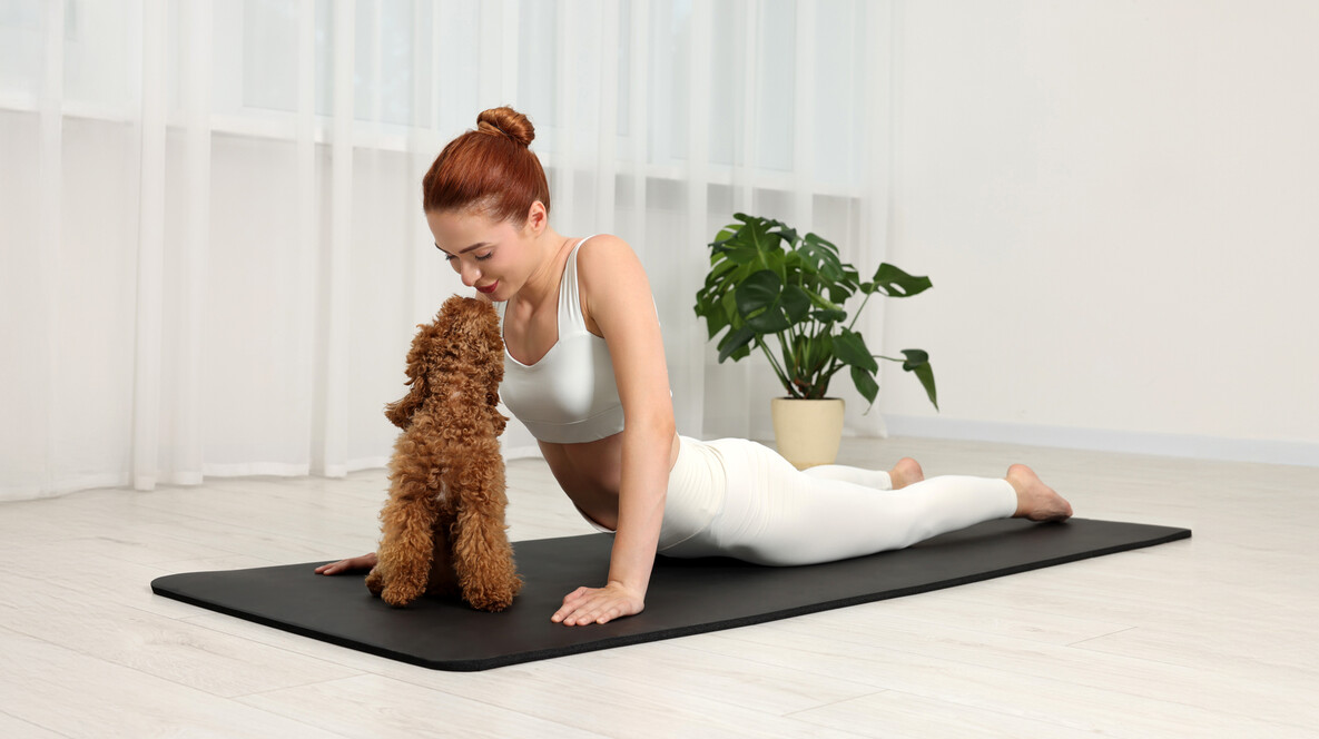 Йога з цуценятами для двох Подарунки чоловікові на 41 рік у Дніпрі - Йога з цуценятами для двох