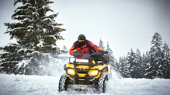 Прогулянка на квадроциклі у Карпатах Подарунки пасічнику в Івано-Франківську - Прогулянка на квадроциклі у Карпатах