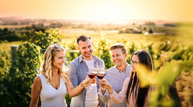 Екскурсія на виноробню з дегустацією Екскурсія на виноробню з дегустацією