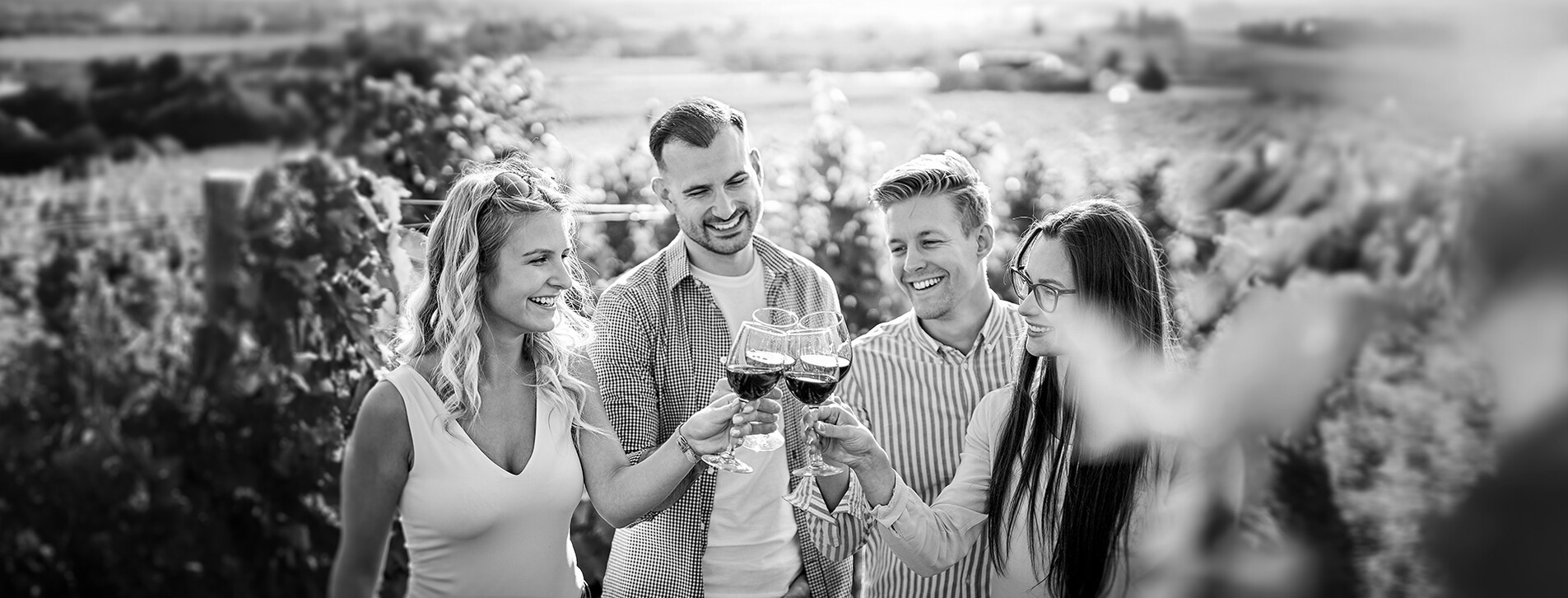 Фото 1 - Екскурсія на виноробню з дегустацією