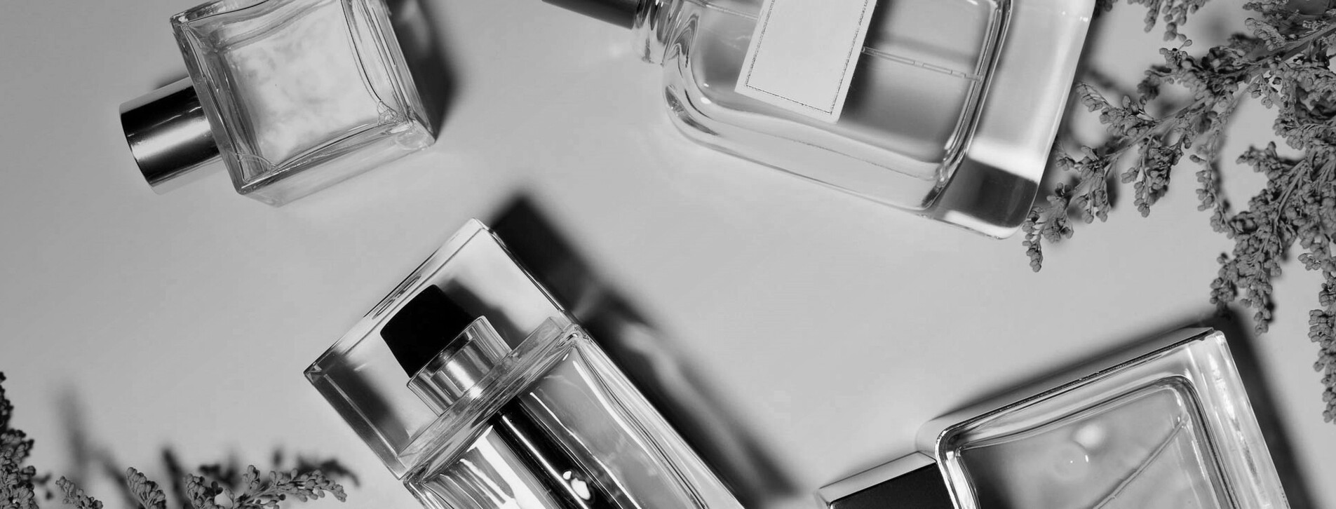 Фото 1 - Парфюмерная дегустация